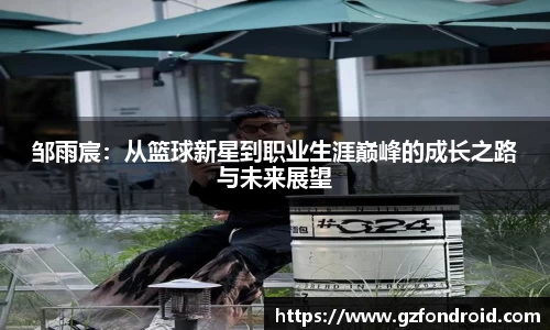 中欧体育网址